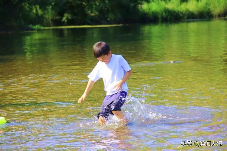 森林草原自驾游,森林亲子旅游攻略图片大全