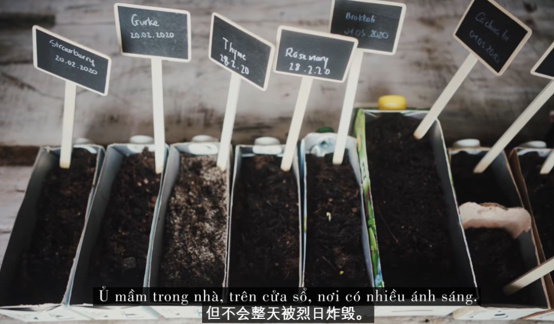 李子柒靠海外视频月入80万,德国版李子柒