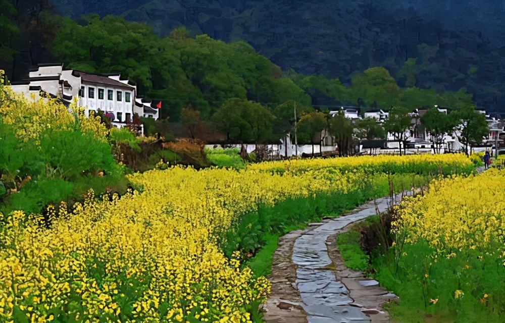 小学生优秀作文校园美景,小学生我眼中的美景作文