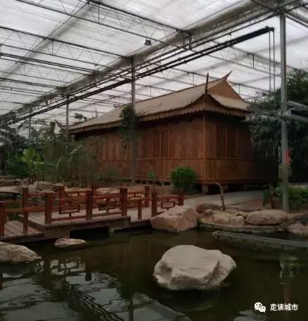 走读城市之廊坊安次（八）：九天休闲谷