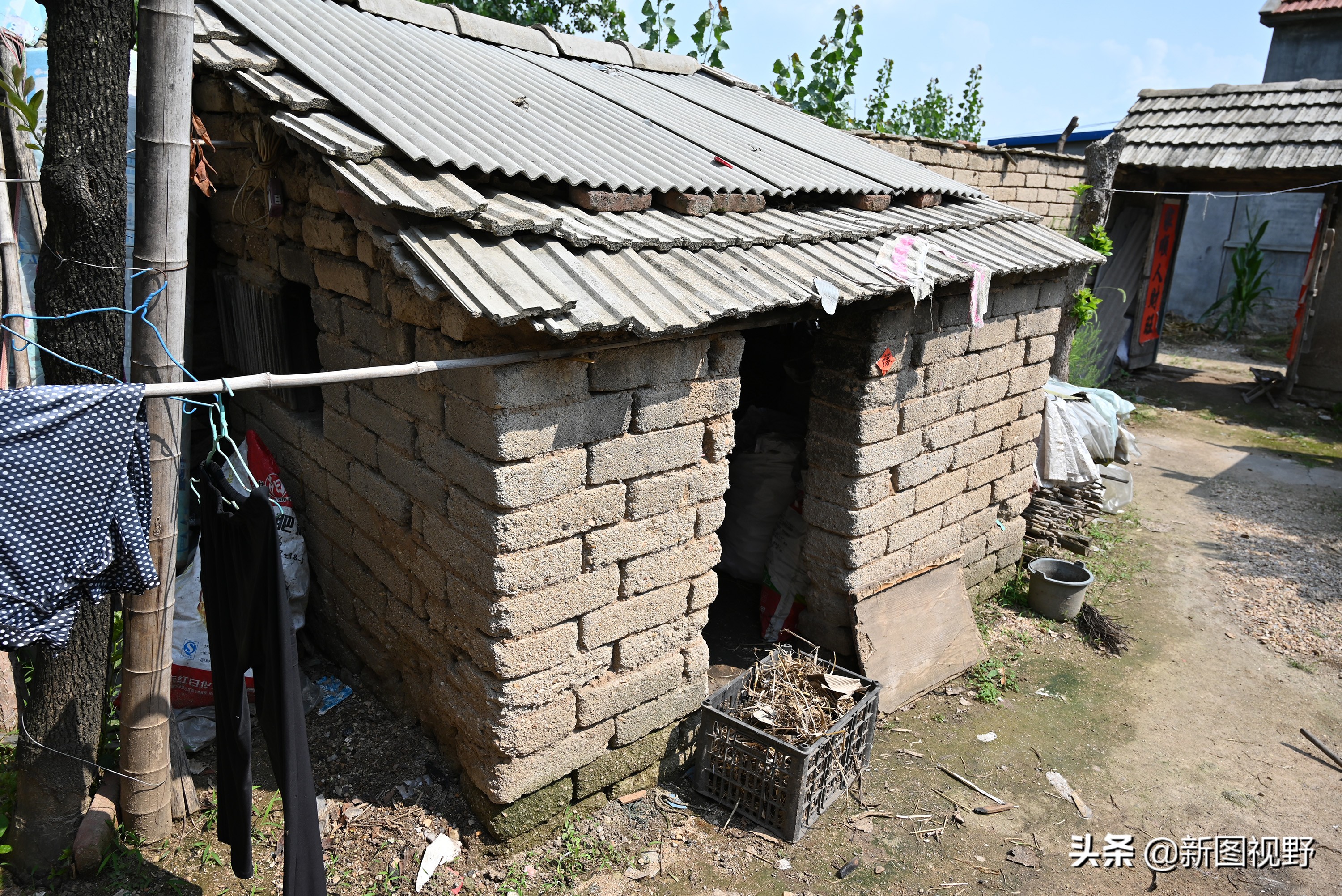 77岁儿子谈长寿经验，100岁母亲插话说出生活秘诀，极具人生智慧