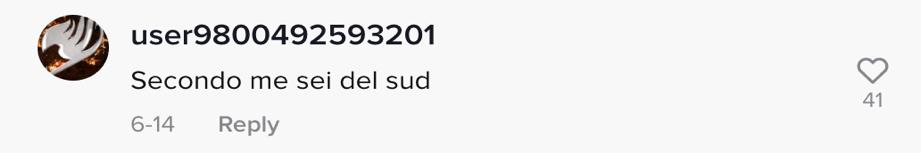 tiktok意大利小哥,意大利华裔中国美食