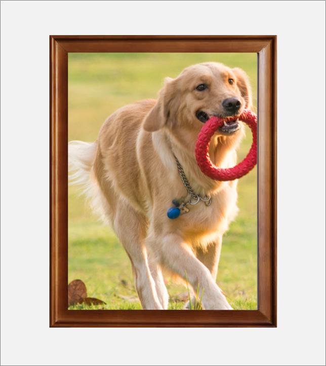 ppt3d环绕动画效果,ppt中3d效果设计