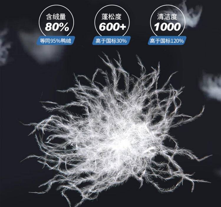 极寒鹅绒羽绒服零下30度测试,北极抗寒最强羽绒服