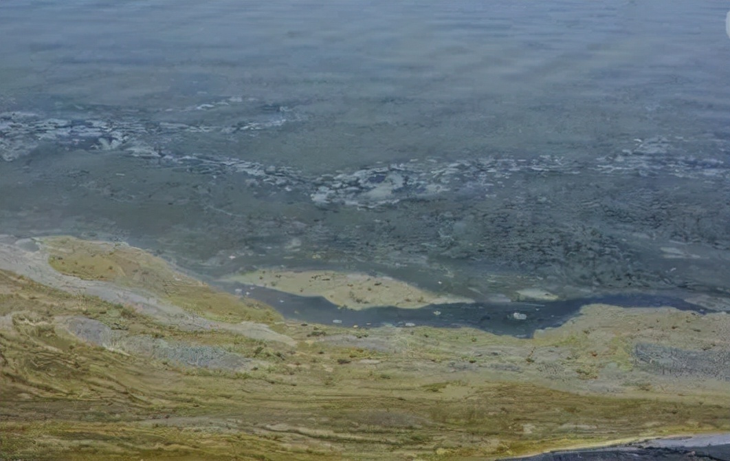 对虾不吃料是不是有虫,对虾有白便不吃料怎么样处理