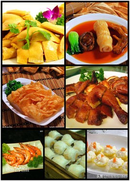 广东南粤美食之旅攻略,广州粤式美食攻略