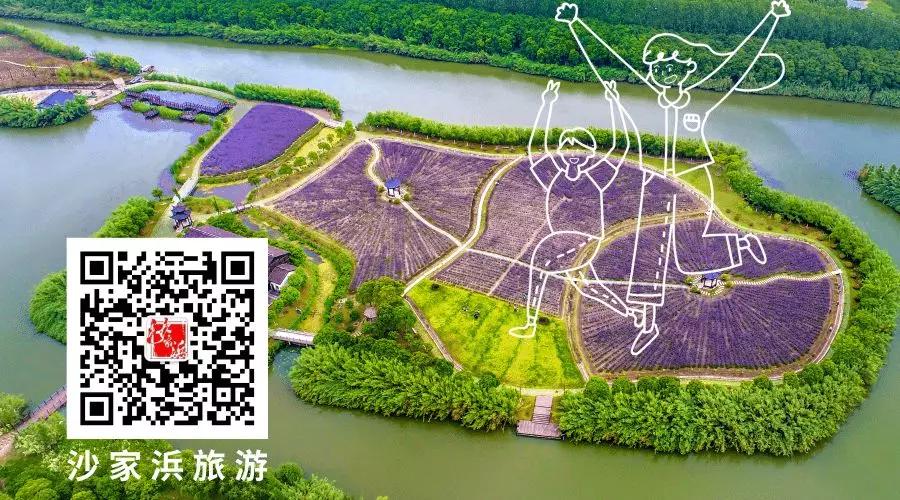 沙家浜景区医护人员免费吗,沙家浜风景区免费开放怎么预约的