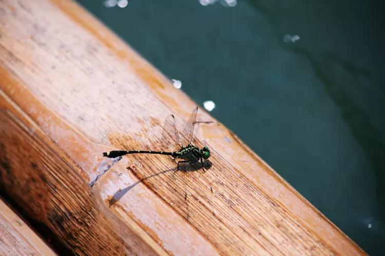 尼康入门单反,单反快速入门攻略