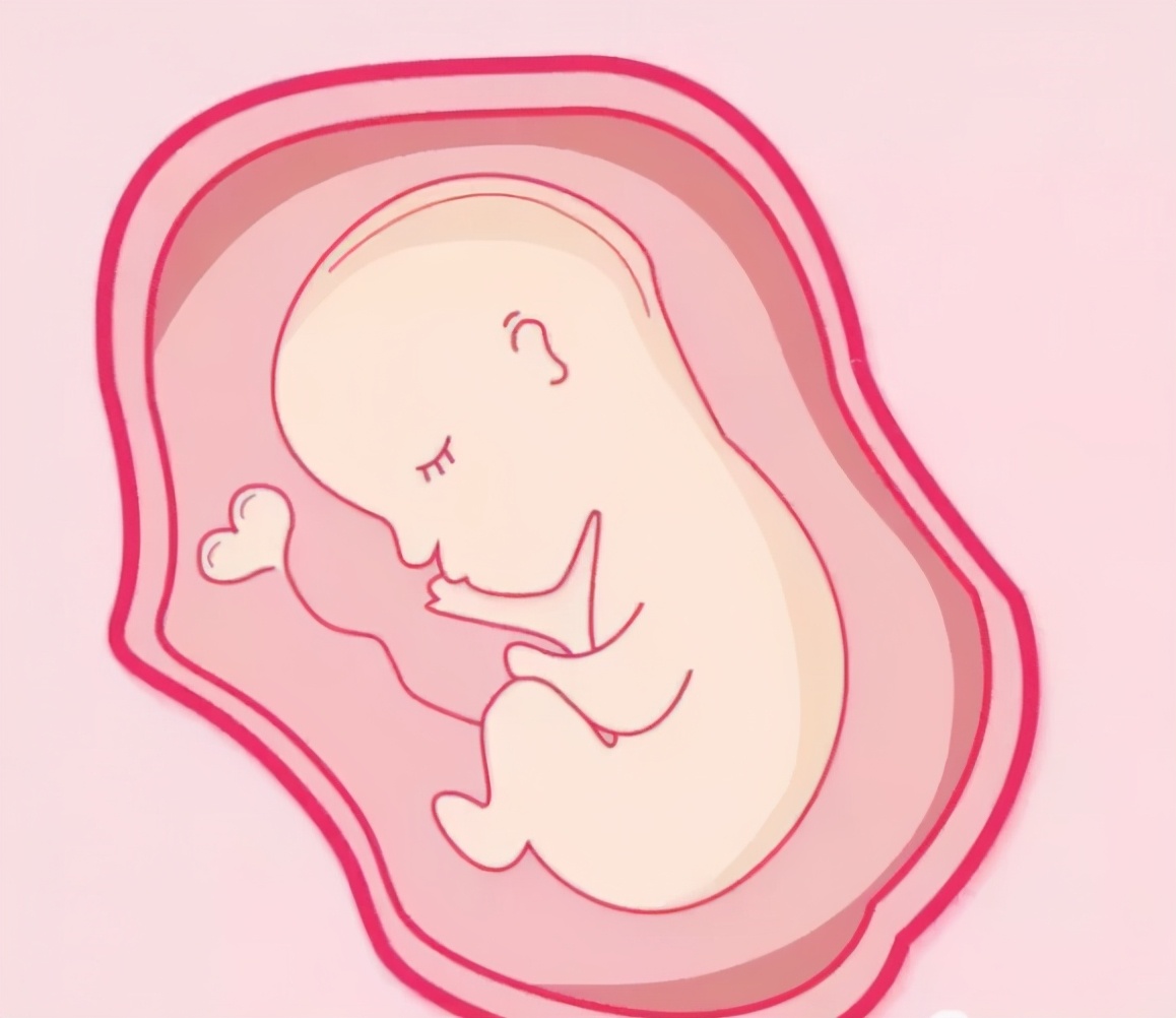 孕期的一些检查,孕期超声检查详解