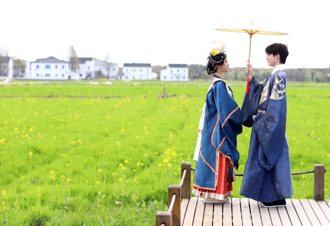 苏州的农村风光,苏州水乡农村风景