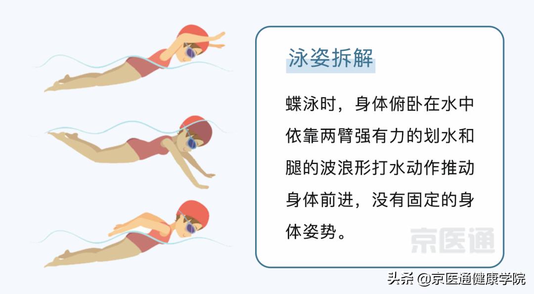 游泳有哪些好处视频,四种泳姿对身体的好处