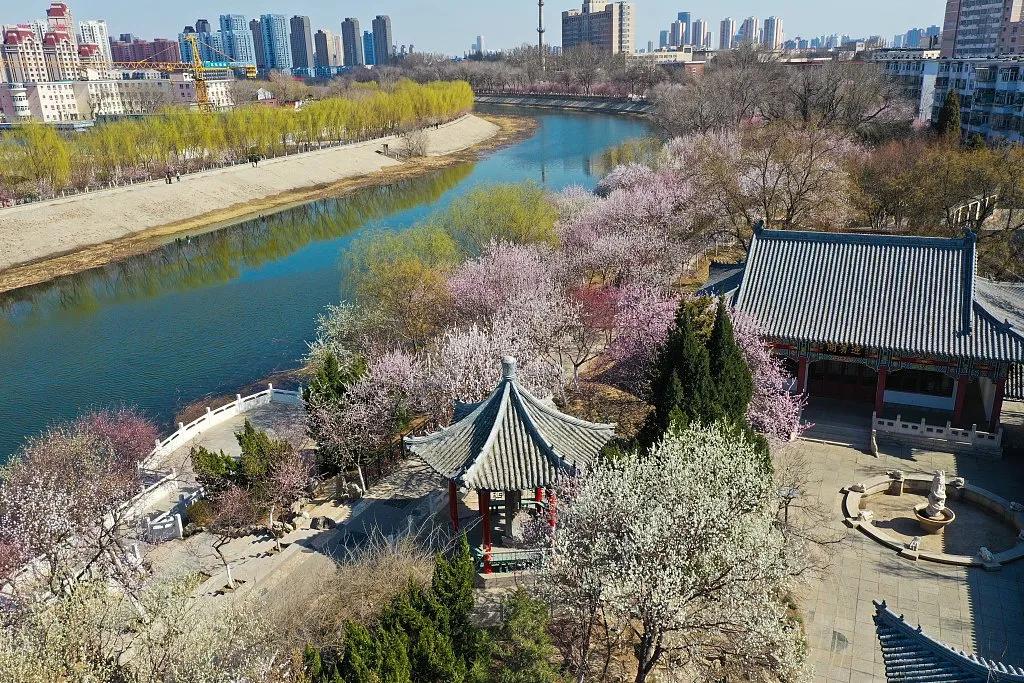 这就是天津完整视频,这就是天津南开