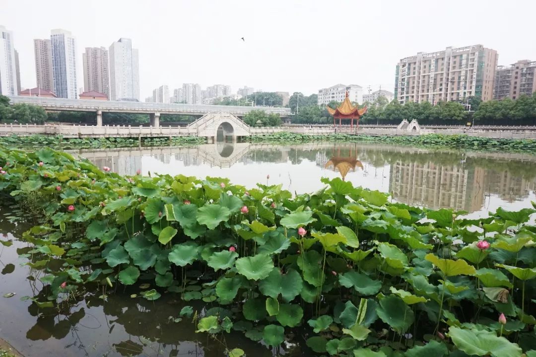 长沙韶山南路,在长沙快乐的一天