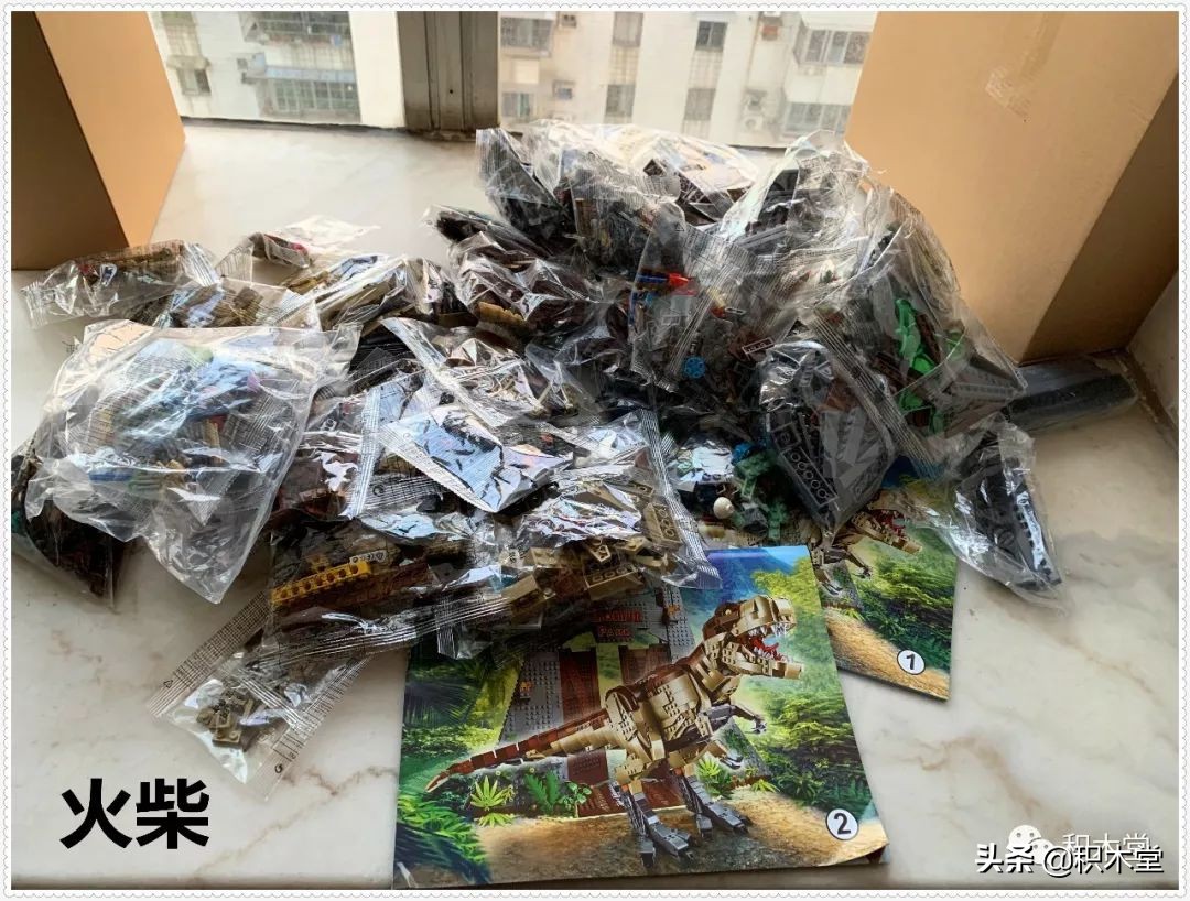 乐翼积木11338（雷克斯霸王龙）--（开箱贴）