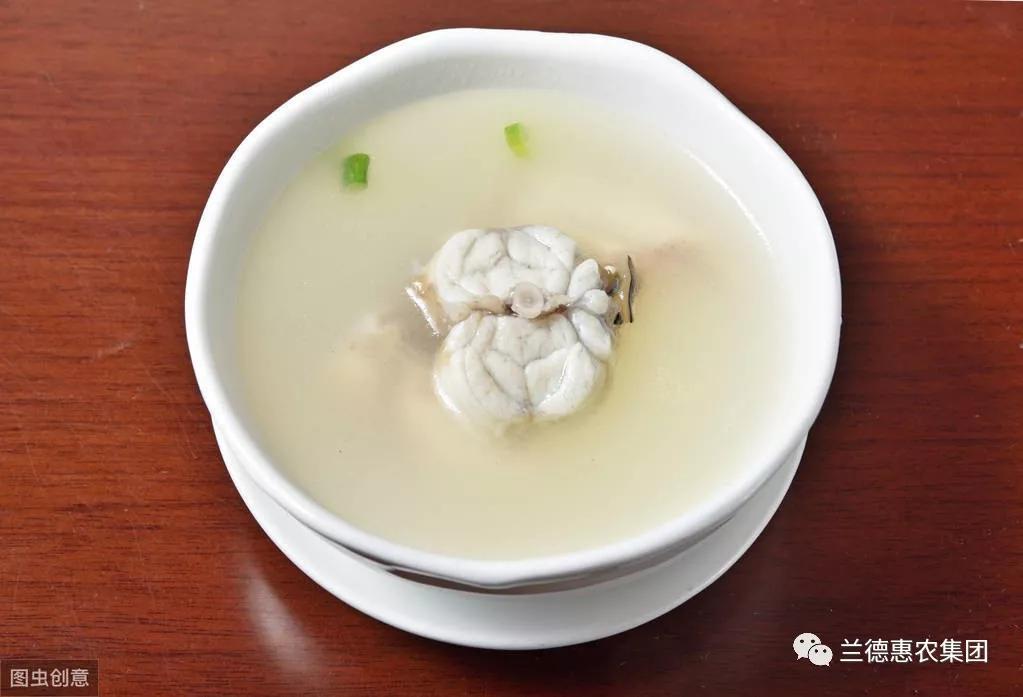 母猪为什么没有奶水？母猪产后没奶怎么办？