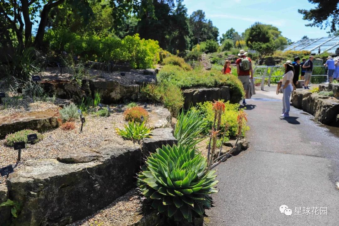 二木带你游花园|邱园（kewgarden）离我们到底有多远？