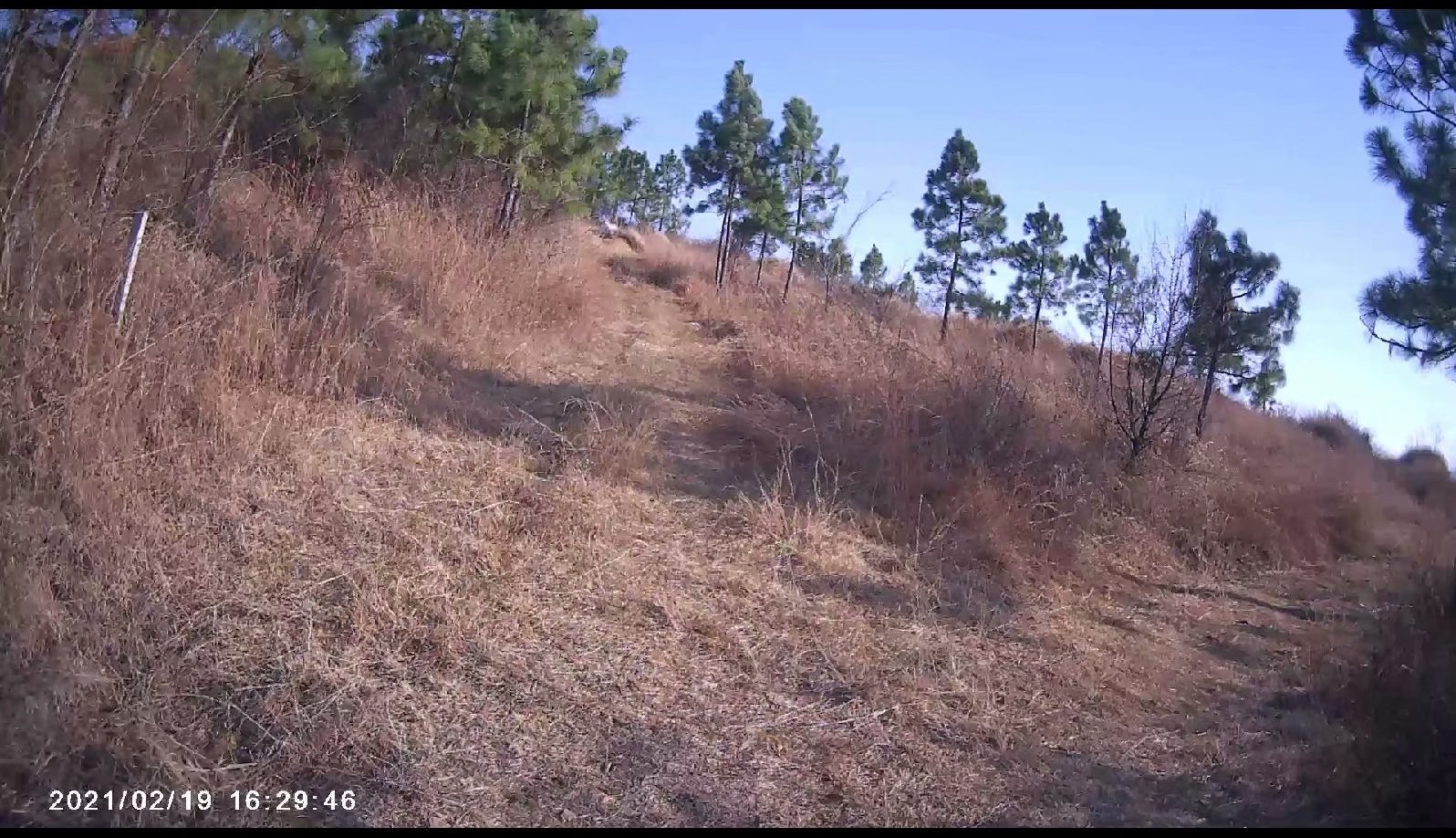 摩托周边旮旯游——探访蚌埠李楼鲁山寺遗址（上）