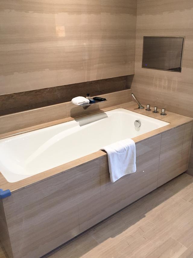 酒店体验版,酒店体验