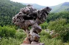 怪异的奇石,怪异奇石风景图片