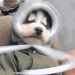 这家店的设计，太上头了！「杰视帮」