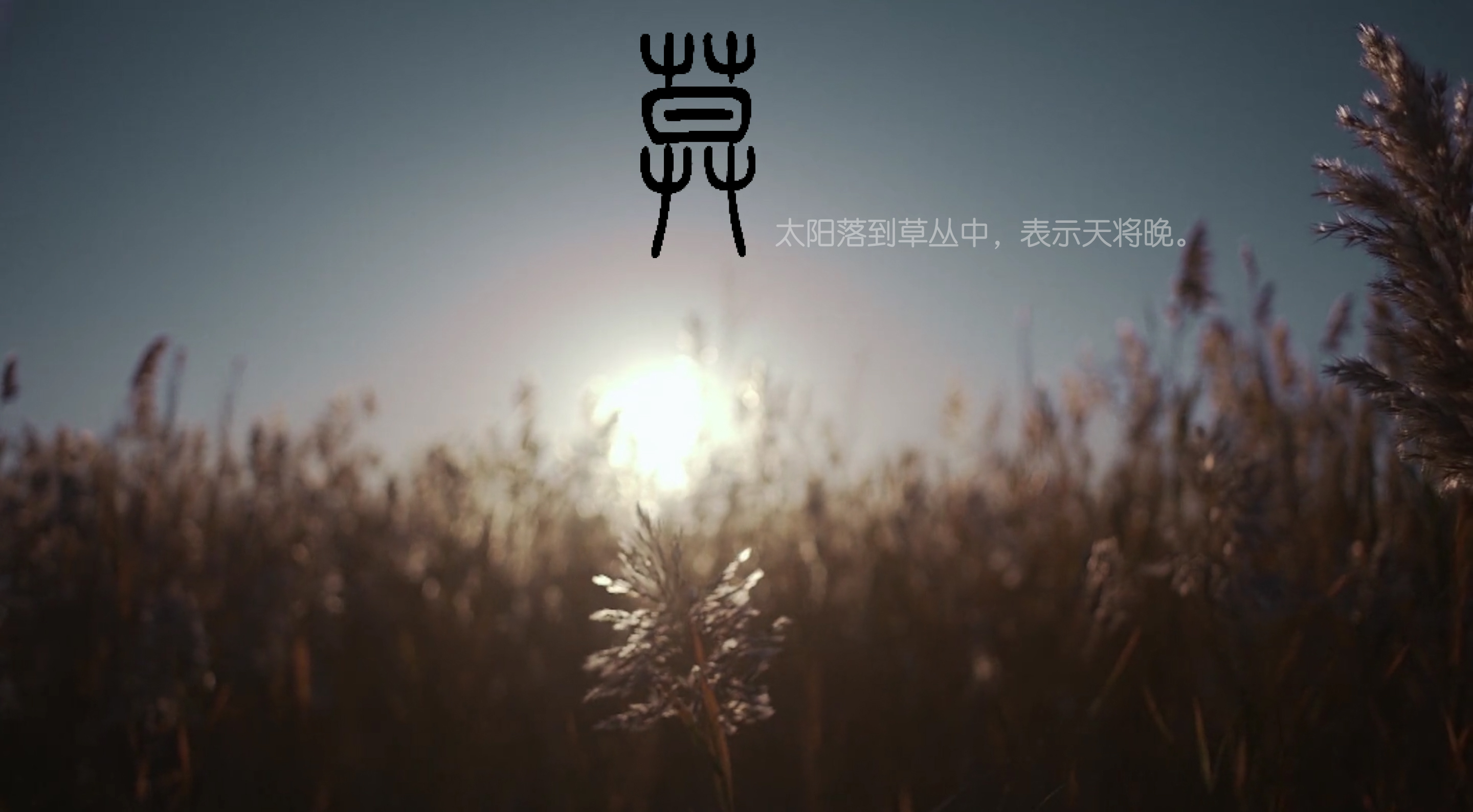 说文解字：为什么是“说”文，为什么是“解”字？