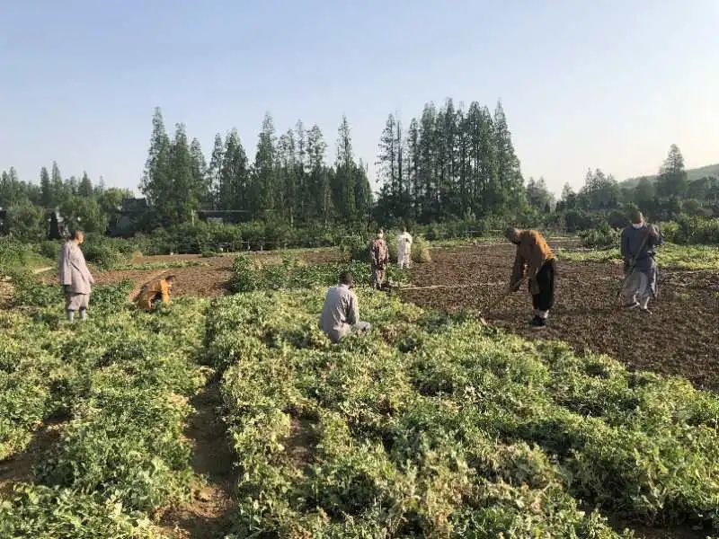 抢抓农时开展农业生产,农民纷纷抢抓春耕生产有利时机