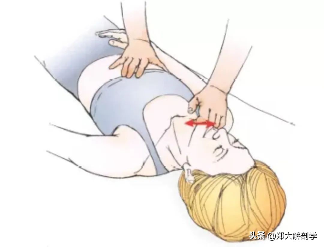 肩关节水平屈可以锻炼胸大肌吗,肩关节运动锻炼胸大肌