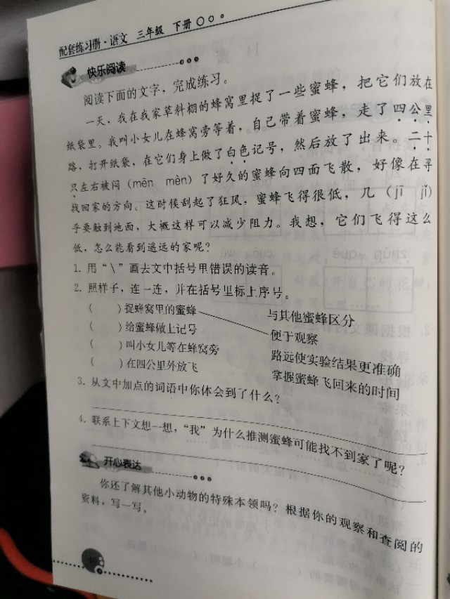小学三年级法布尔课文,三年级法布尔的故事