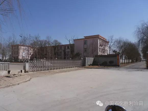 胜利油田学校有几个,胜利油田有多少学校并分布在哪里