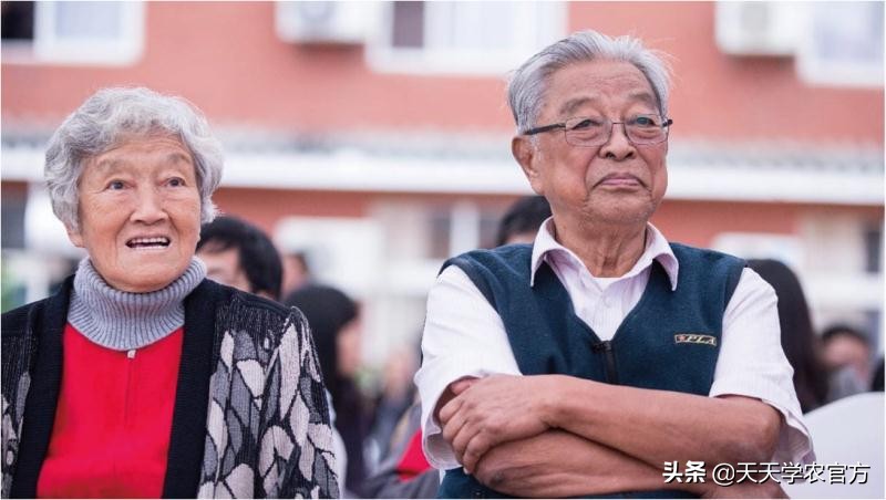 褚橙能快速传播的原因,褚橙是怎样成功的