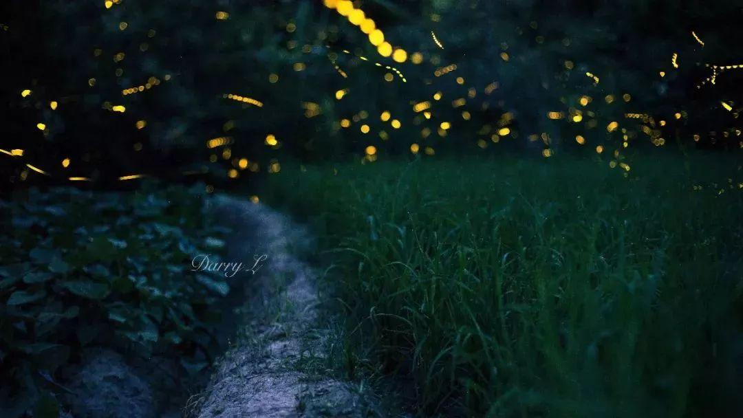 带你了解梅州,梅州介绍宣传片