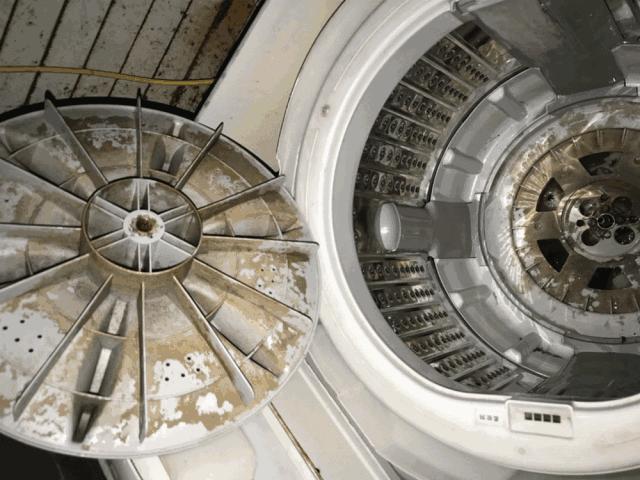 洗衣洗出霉菌？拆开洗衣机后才发现问题