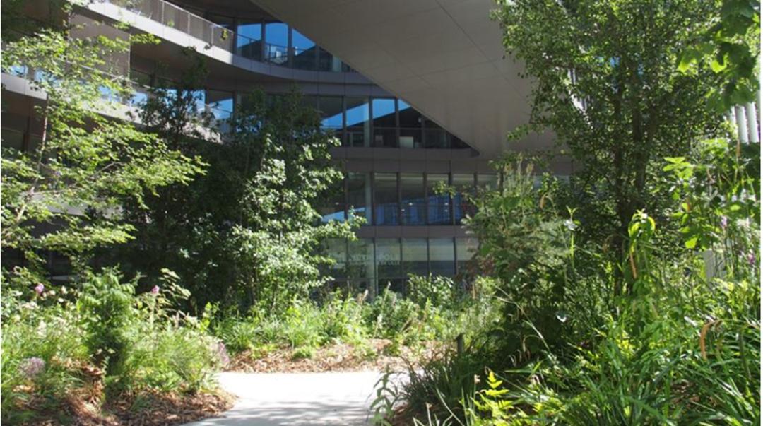 被绿植包围的大楼,被绿植围绕的空间