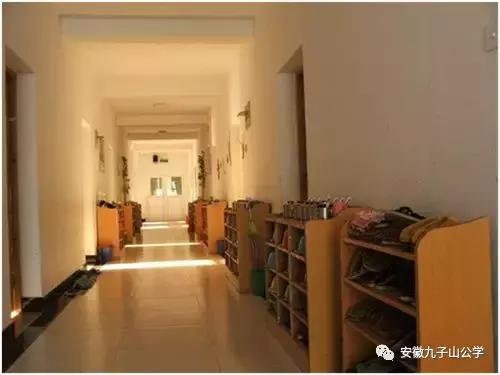 安徽九子山公学青华分校小学,安徽省九子山青华分校
