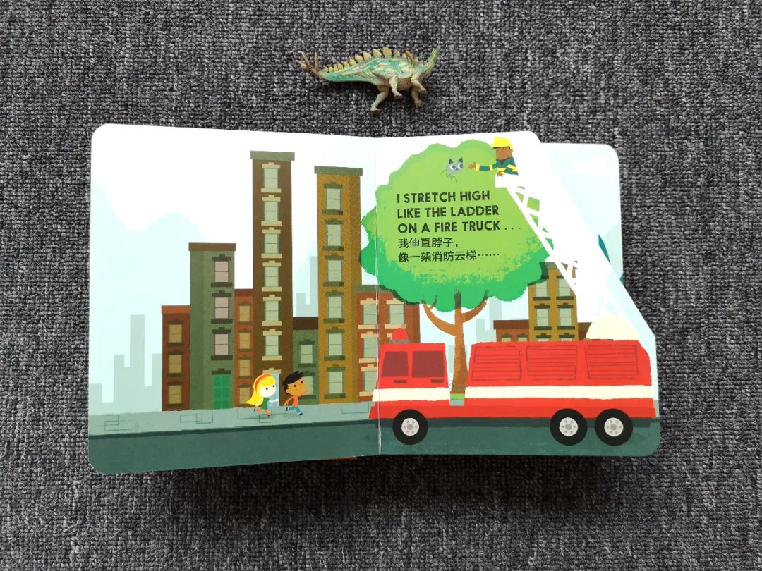 适合孩子看的恐龙科普书,适合5岁孩子看的恐龙科普书