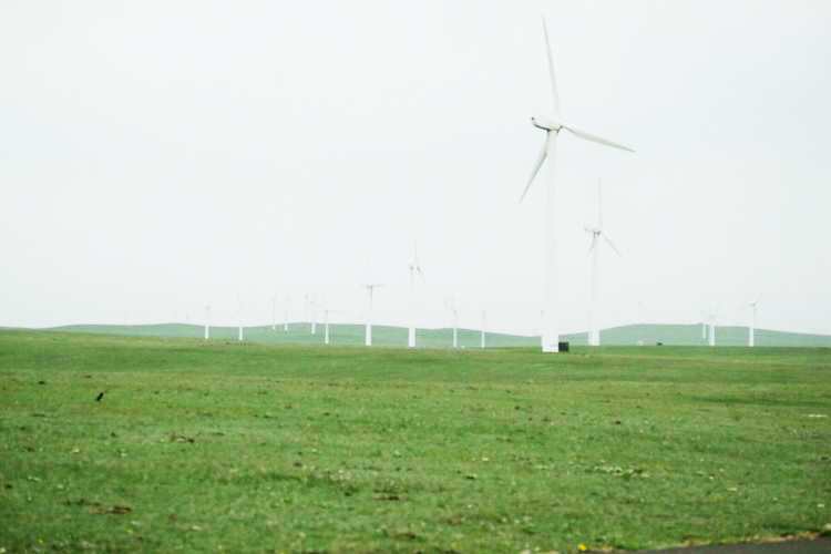 内蒙黄花沟草原游记,黄花沟草原介绍