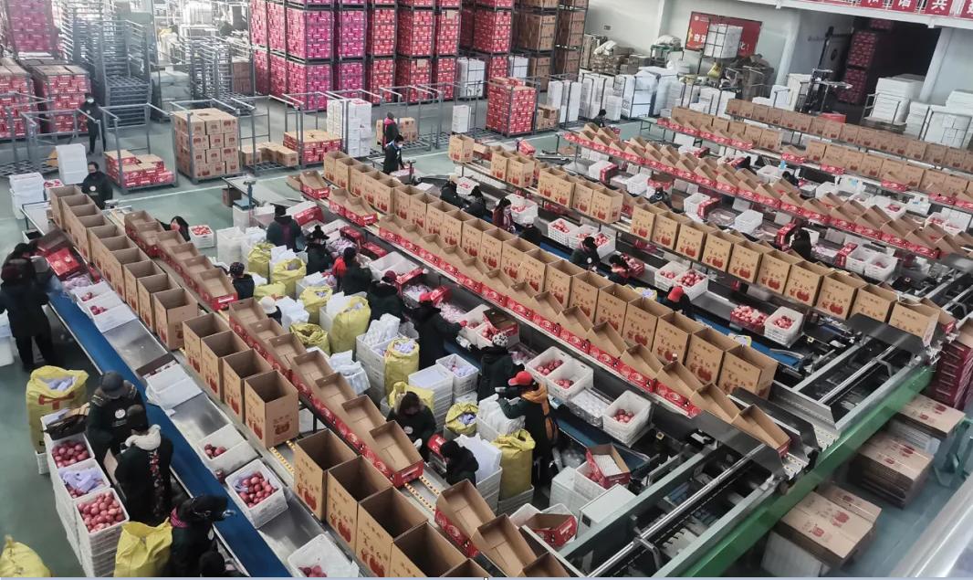 【开局“十四五”迈好第一步】回首2020,“数”说洛川成绩~