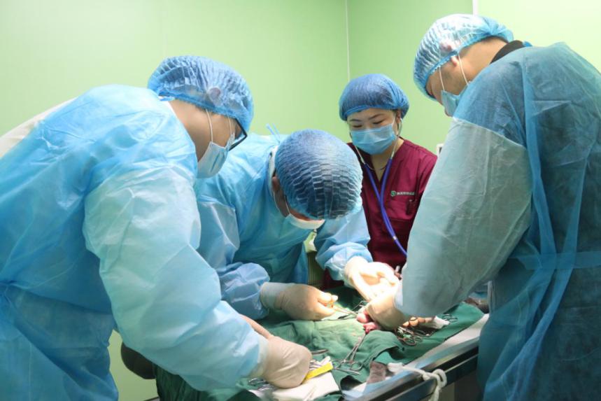 瑞派宠物医院全国分布情况,瑞派宠物医院重复收费