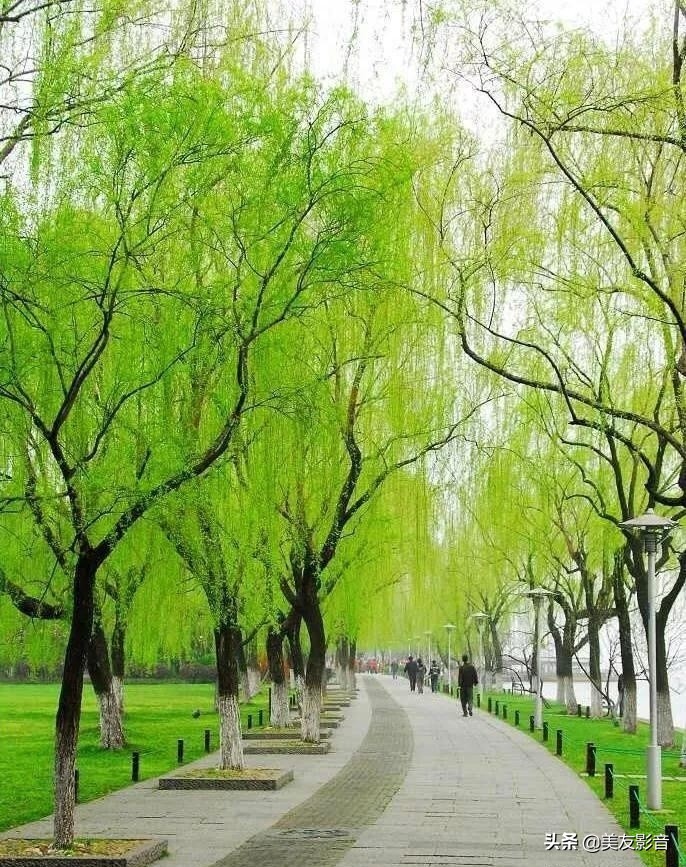 语文拓展100个容易被误用的成语,100个最常被误用的成语行测必备