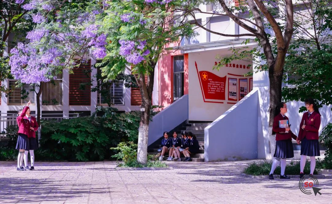 校园|遇见.初夏属于十中的紫色烂漫