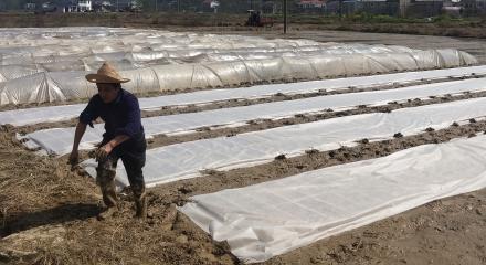 农村青年赚钱,农村青年创业模式