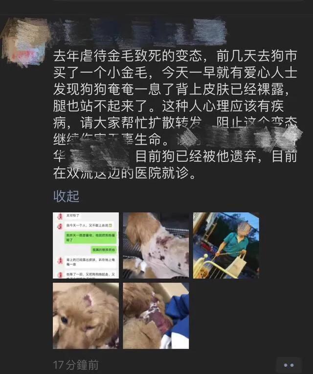 金毛被男子疯狂虐待，志愿者被威胁报复，有些人内心到底有多黑暗
