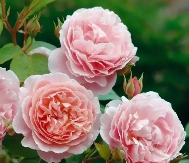 每天学习一点点女性小常识,每天学习一点点科普一下