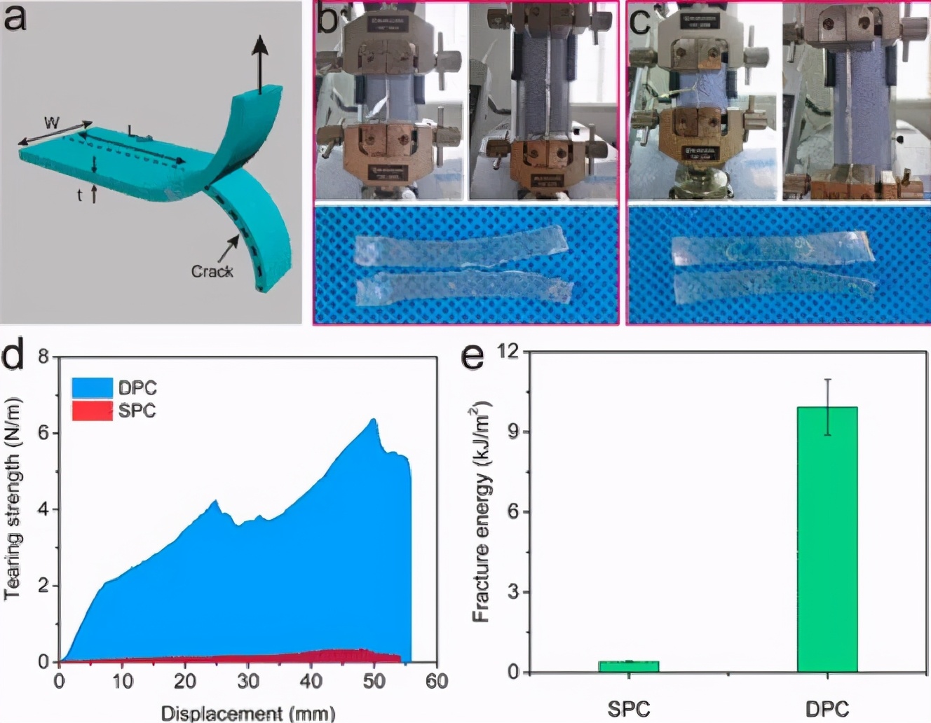 王晓龙/周峰《材料化学》3D打印超强韧性双物理交联壳聚糖凝胶