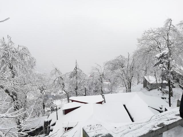 女性被变态杀手杀害案,少女惨遭杀害结果却让背后发凉
