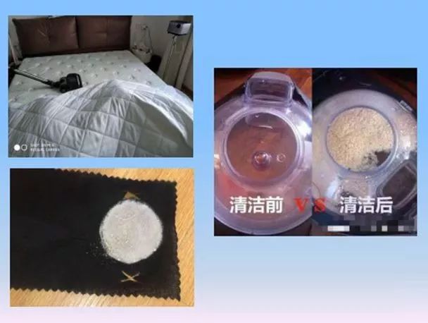 床垫除尘除螨虫多少钱,床垫螨虫怎么彻底消灭