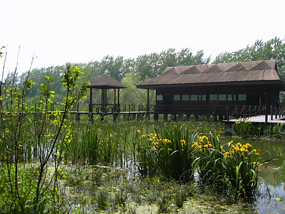 泰州有什么好玩的旅游景点推荐,泰州市有什么旅游景点吗