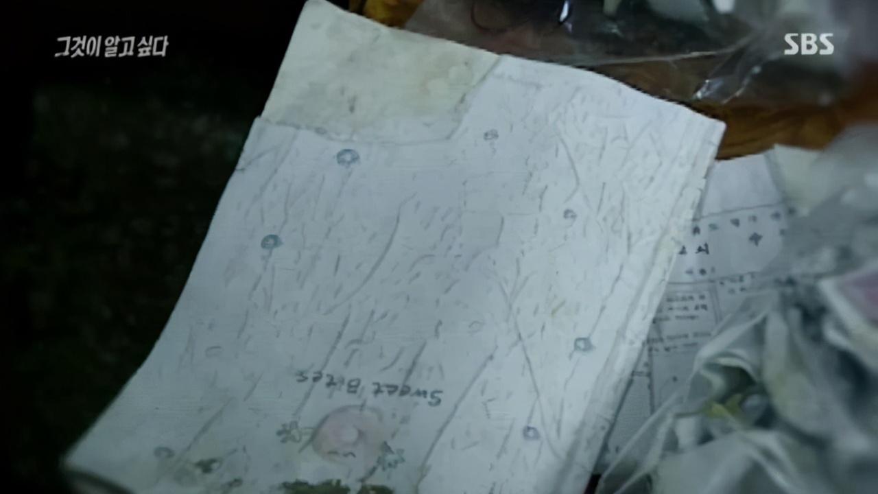 韩国红色指甲油杀人案,韩国红衣女子连环杀人案