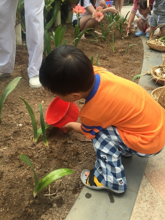 三亚自由行游玩攻略详细,三亚自由行攻略最详细