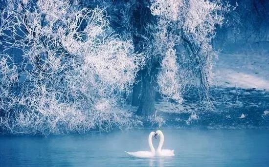 冬天情侣去哪里旅游最适合,适合情侣两三天的短途冬日旅游